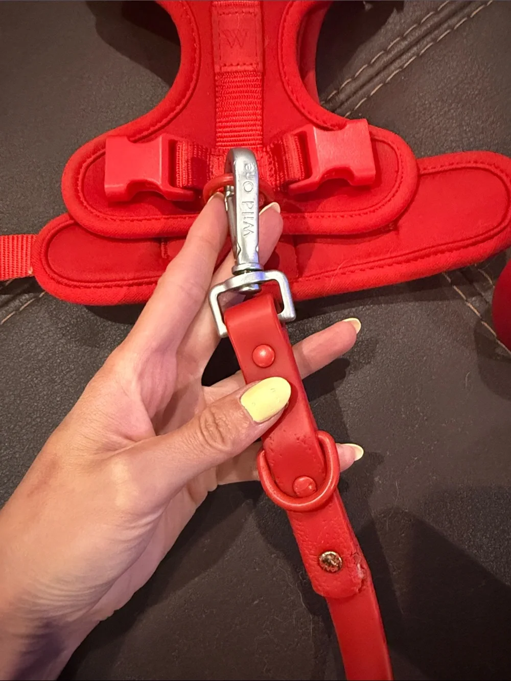 Wild One Red Small Dog Harness, X Long Leash, and Poop bag holder